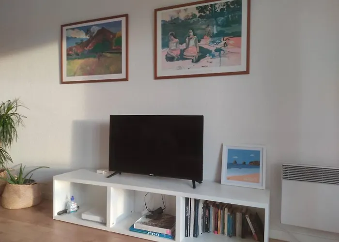 Bidasoa Con Vistas Lejlighed *